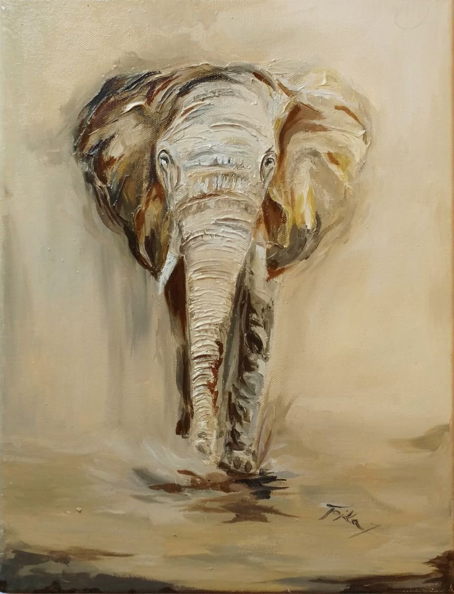Elephant by Joanna Tojka