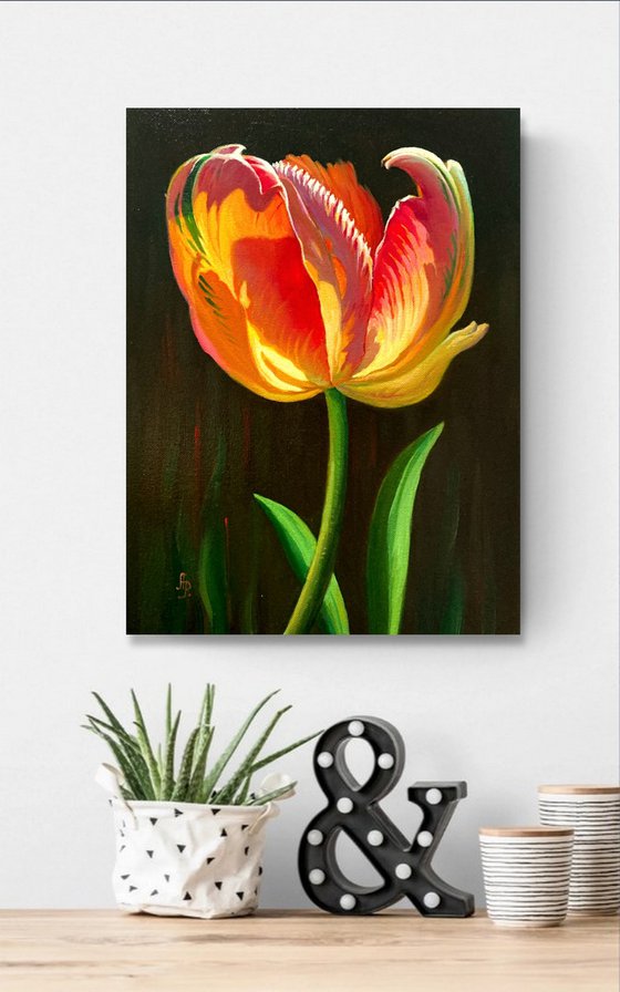 Romantic tulip