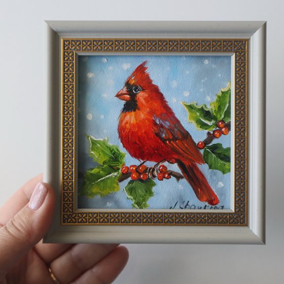 Cardinal Bird