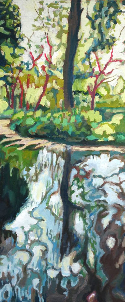 Pristine stream by Guy  Pickford
