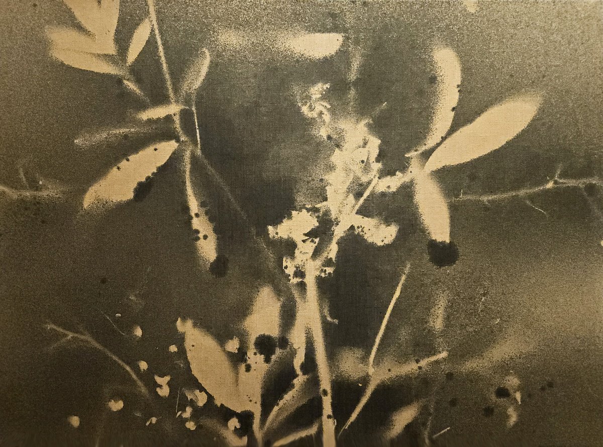 Surrealistic Botanical Acrylic Painting By Stefano Mazzolini, 59 X 43", Rf27, Original Artwork