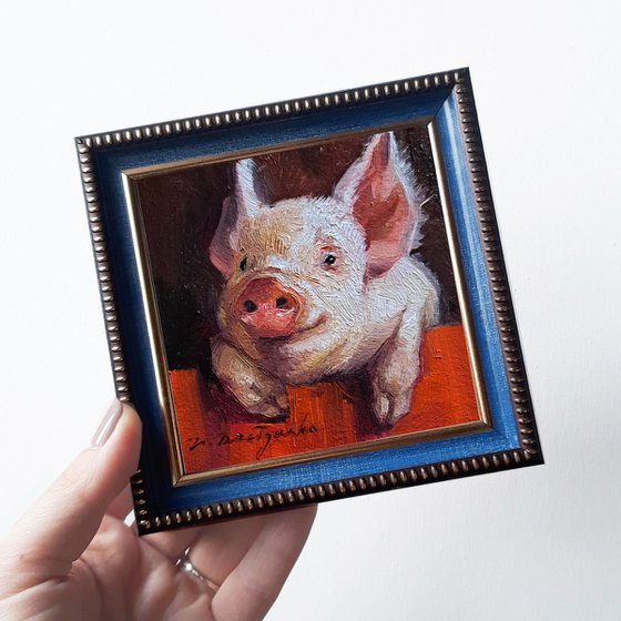 Pig portrait