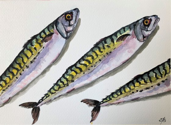 Mackerel recipe