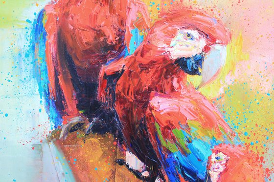 Red parrots"