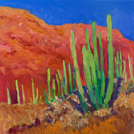 Landscape with a Cactus
