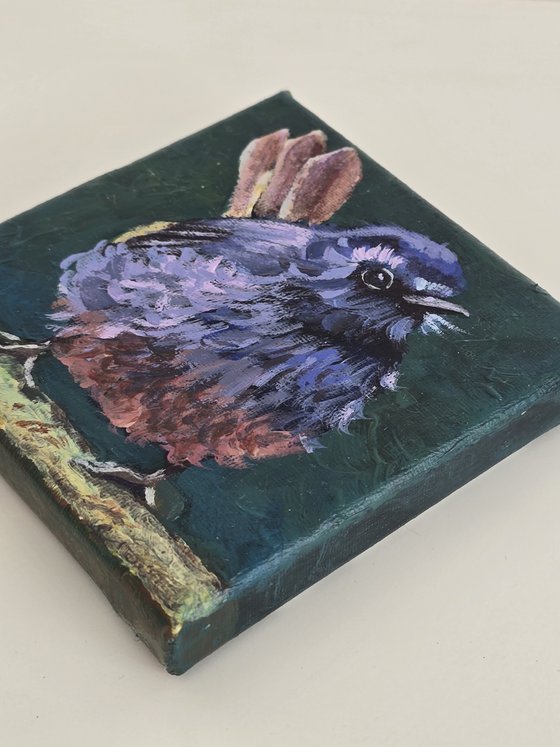 "Blue bird"