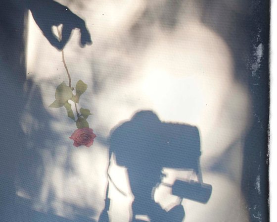 Shadow with rose