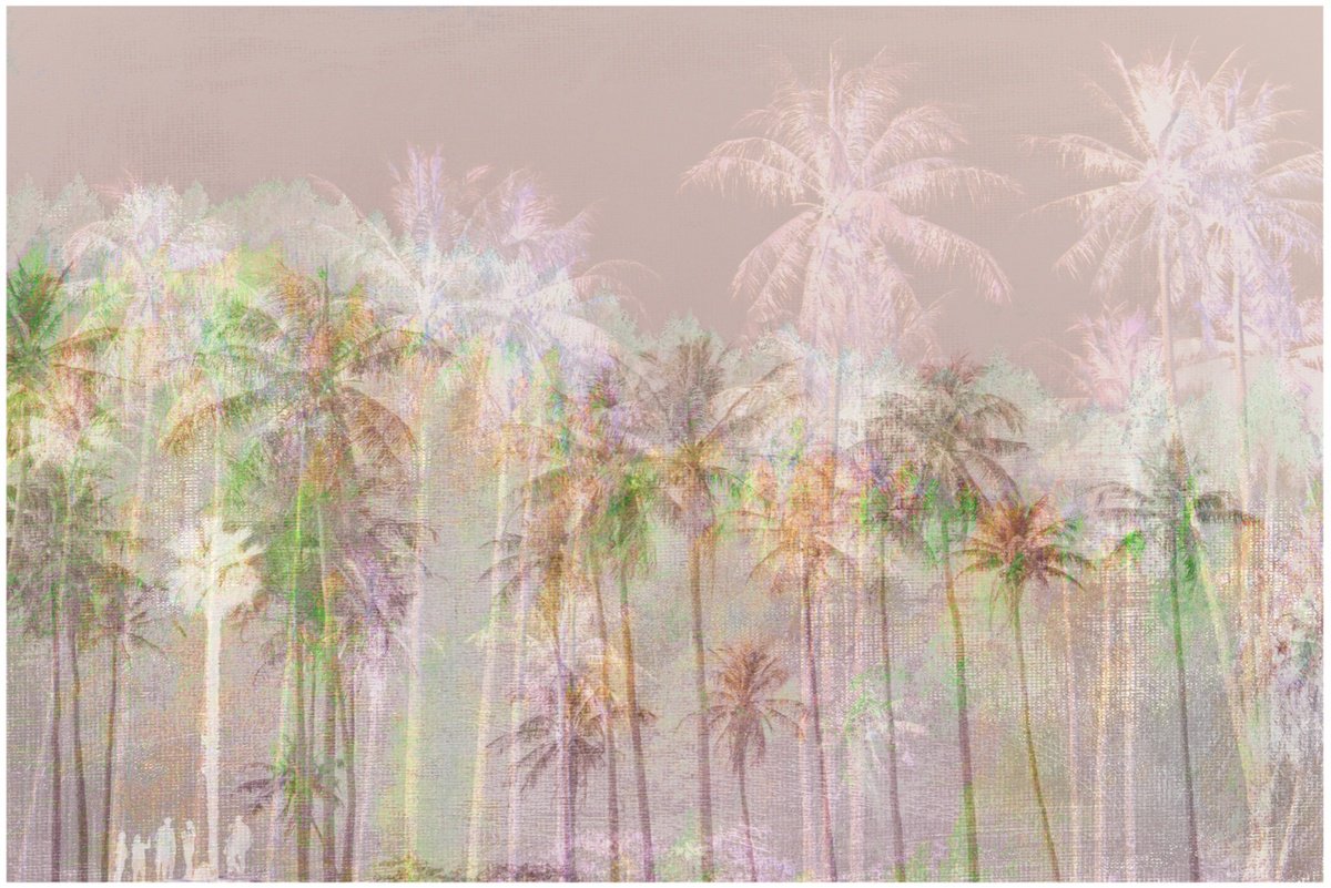 Impressionistic Photograph , Tropical Harmony By Louise O