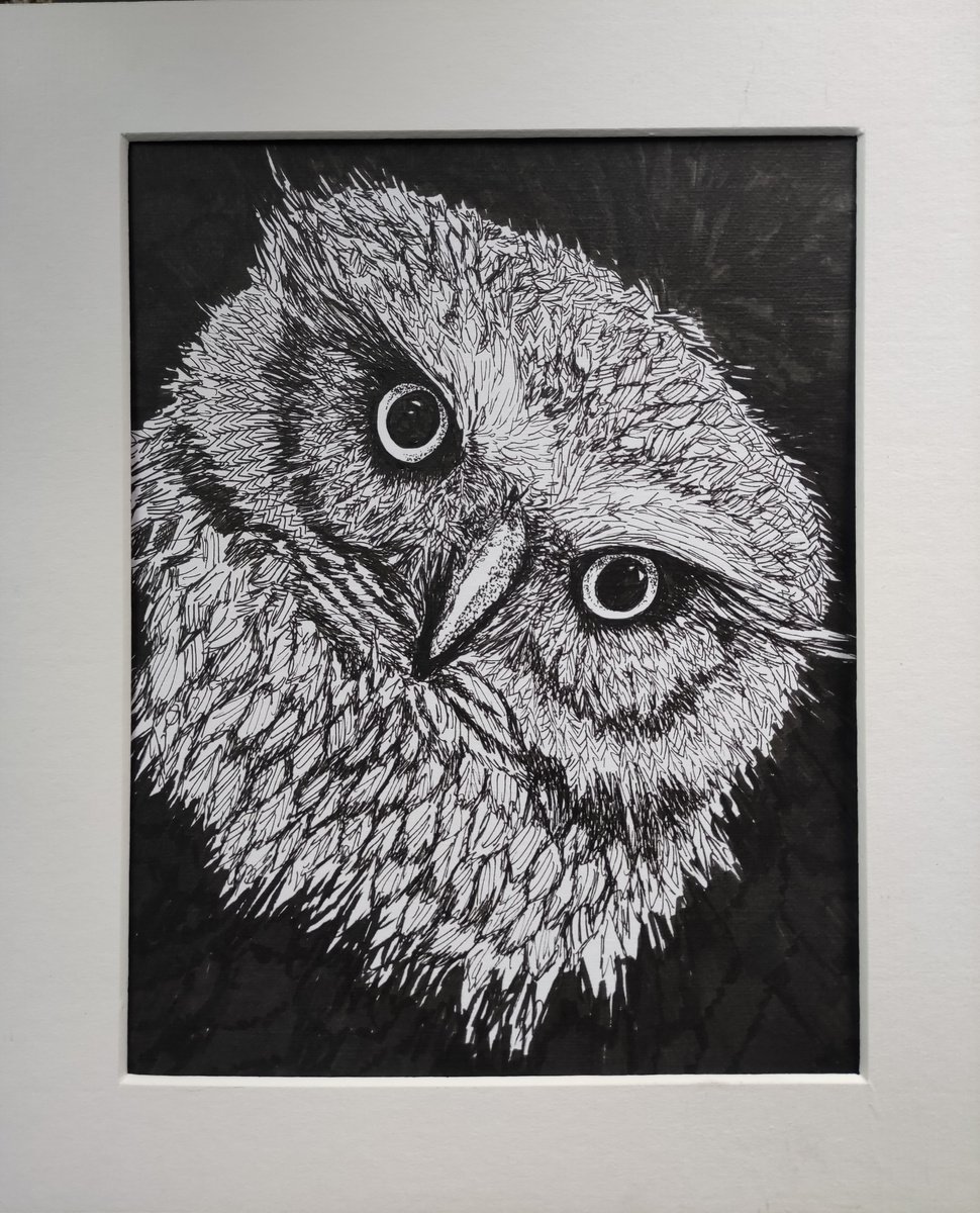 Curious Owl by Jenny Moran