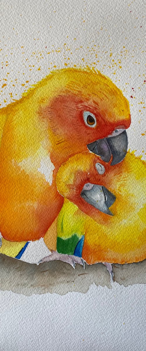 Sun conures no.2 watercolour painting by Bethany Taylor