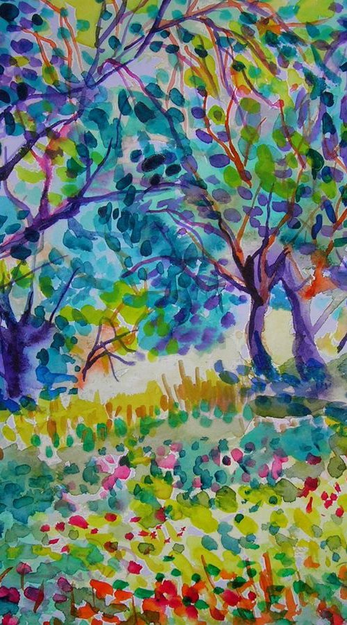 Old olive orchard VIII by Maja Grecic