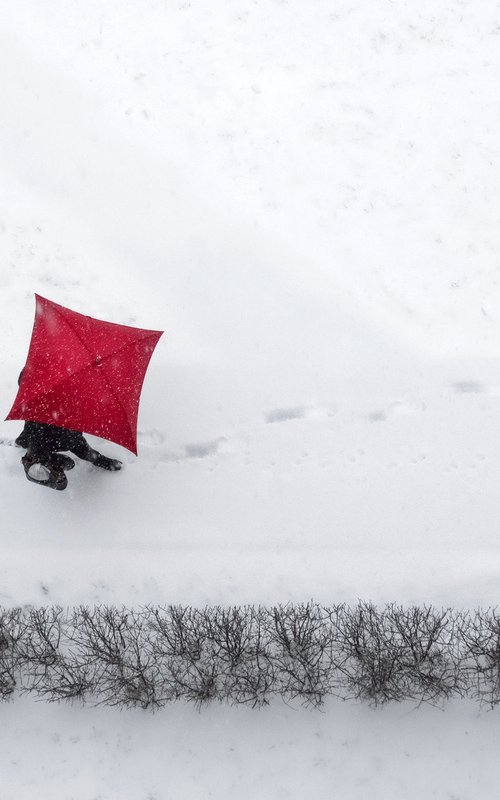 The red umbrella by Jacek Falmur
