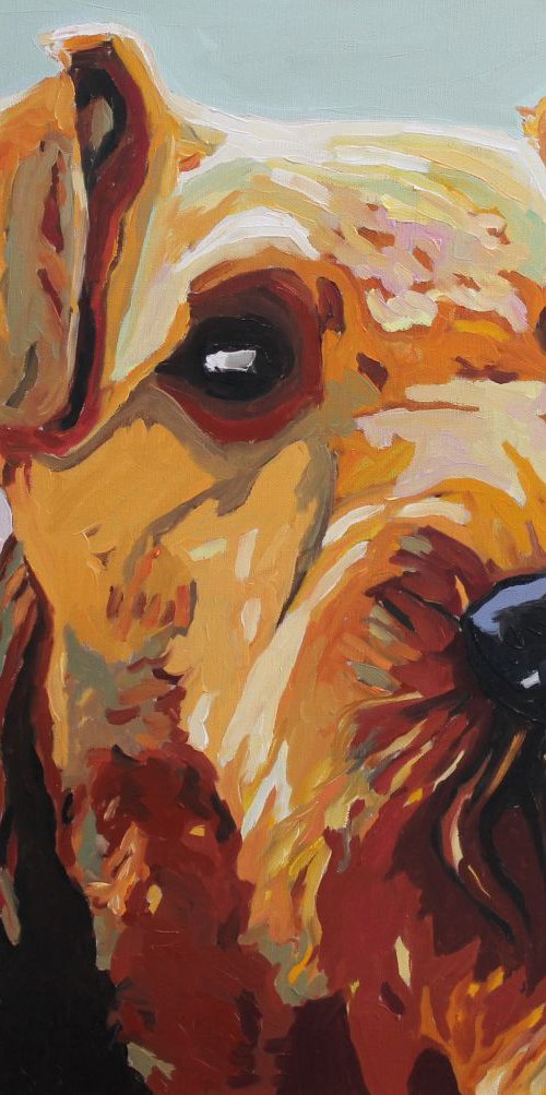 Bingley by Emma Cownie