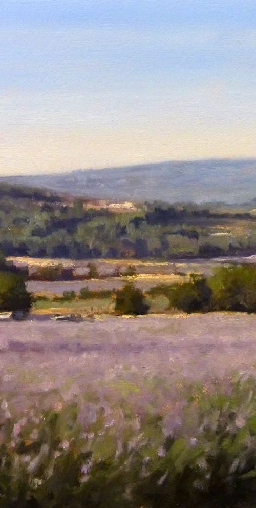 Lavender Field near Sault by Pascal Giroud