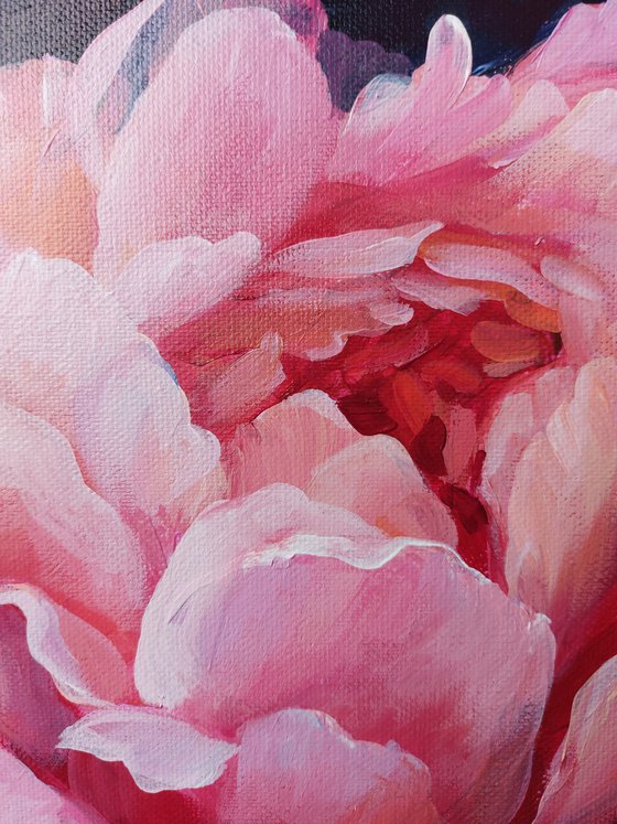 Radiant Peony