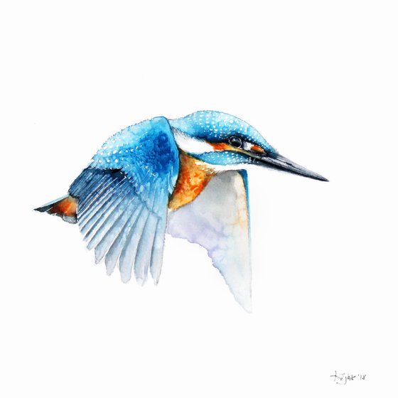 Flying kingfisher, 30x30cm, watercolour painting