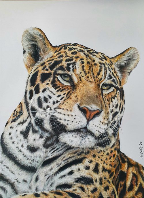 "Get in pose" Jaguar portrait - 'The last of us' wildlife-art series no. 1 by Silvia Frei