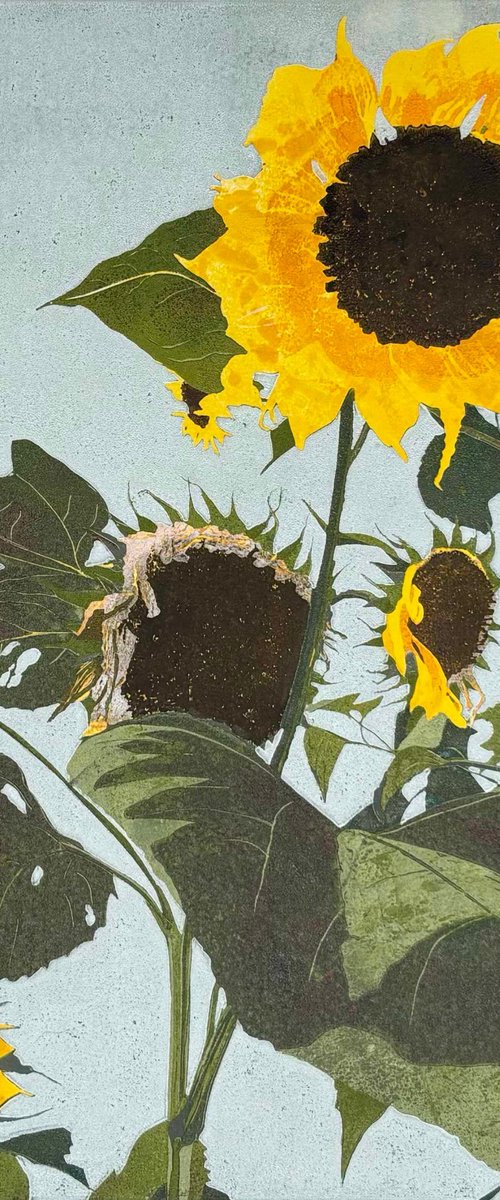 Sunflowers - Linocut Print by C Staunton