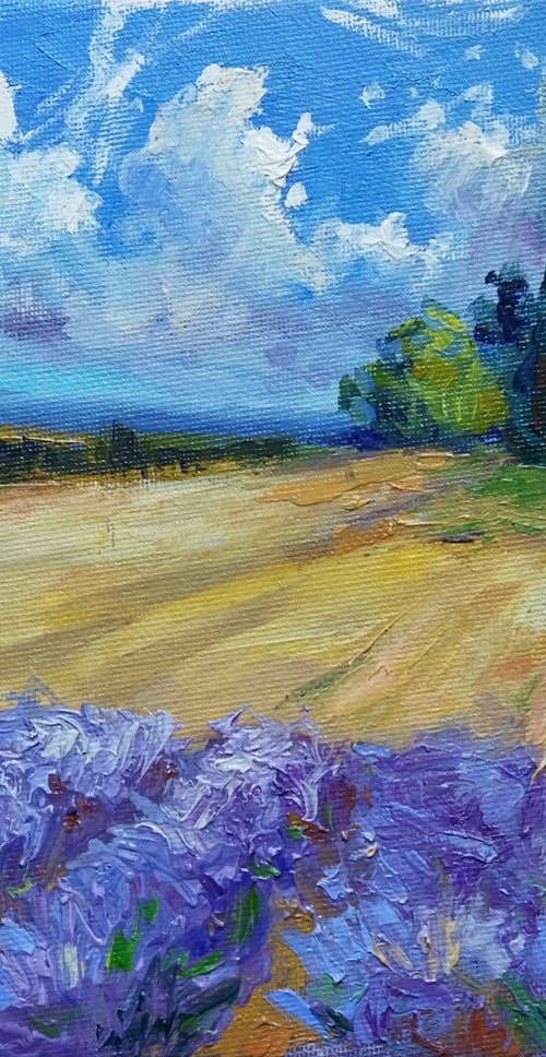 French Lavender Fields 20*25 cm by Ann Krasikova