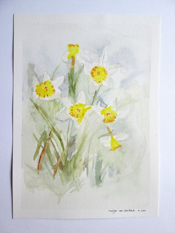 Daffodils