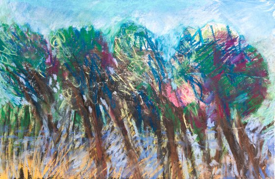 Wind in the Bluebells