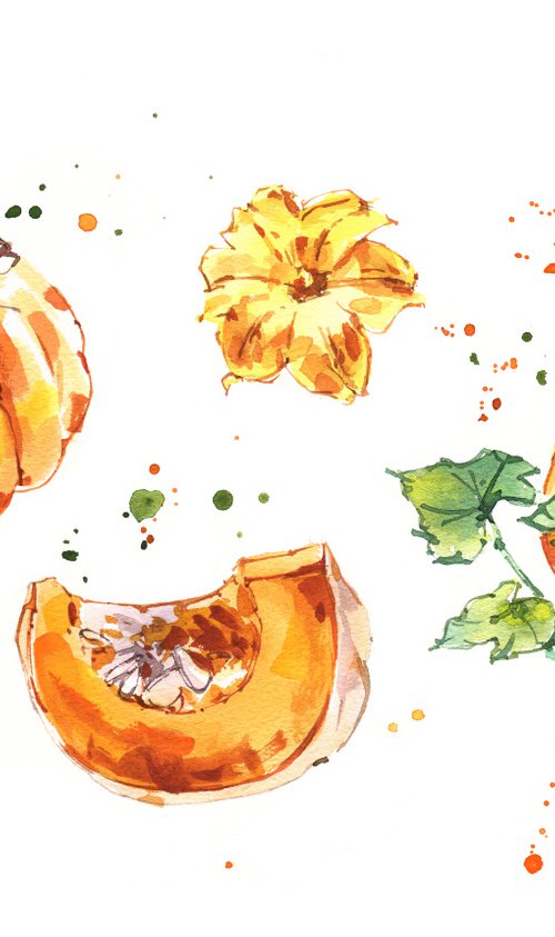 "Pumpkin in dotted drops. Expressive sketch" original watercolor illustration by Ksenia Selianko