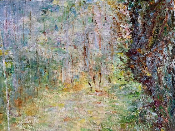 Forest Stream