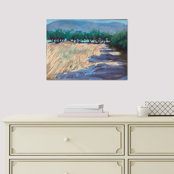 Olive trees