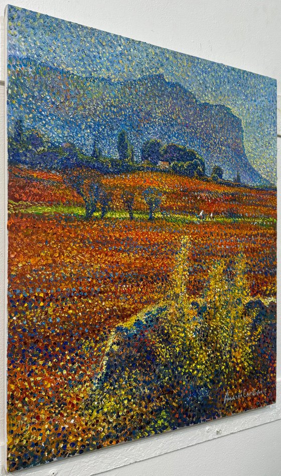 Summer in Provence