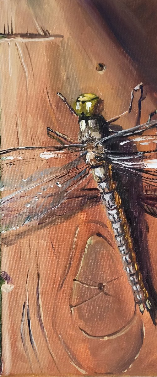 Dragonfly oil painting langscape mini wall decor 10x10'' by Leyla Demir