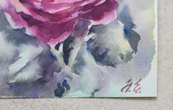 Purple Watercolor rose, flower from Summer garden