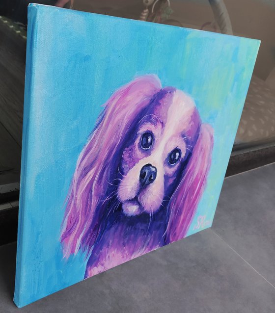 Cavalier King Charles Spaniel. 50x40 cm