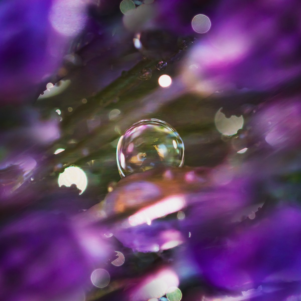 SPARKLING MOOD OF INTENTION - limited edition print of art photography of a drop inside an... by Inna Etuvgi