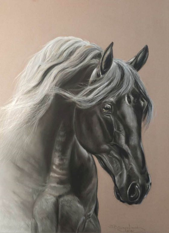 Pastel painting on Paper Horse equines realism  ,, Rico'