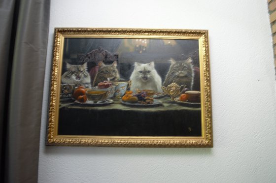 Mischievous Cats