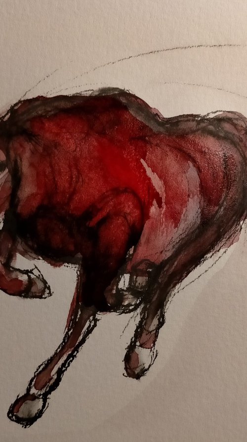 Unbridled by Oliver Plehn