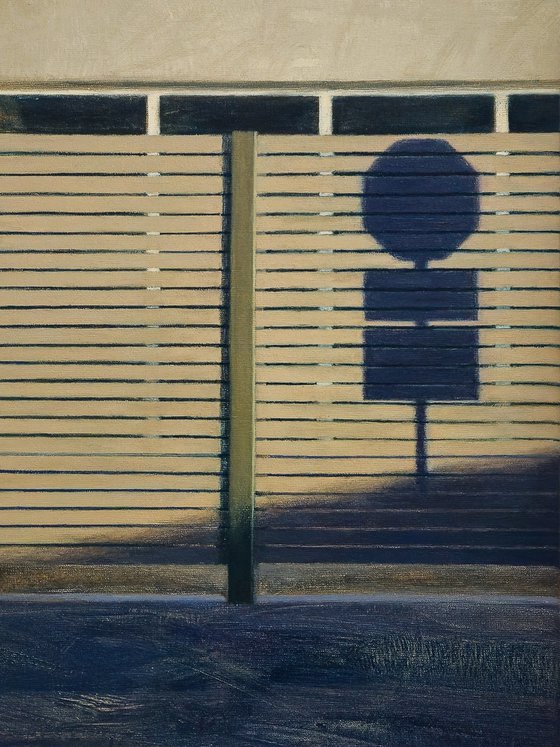 Shadow of a STOP Sign