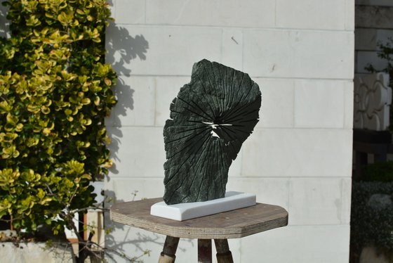 "Brilliance of Mind"