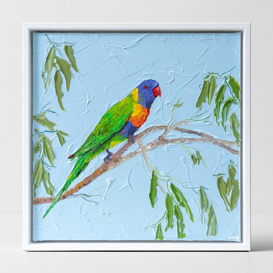 Rainbow Lorikeet