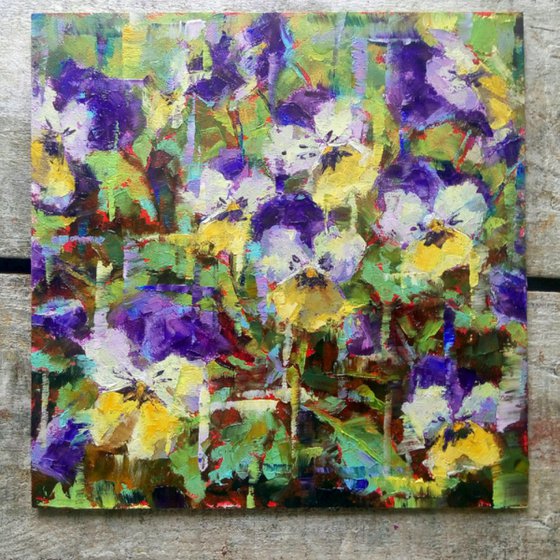 Pansies