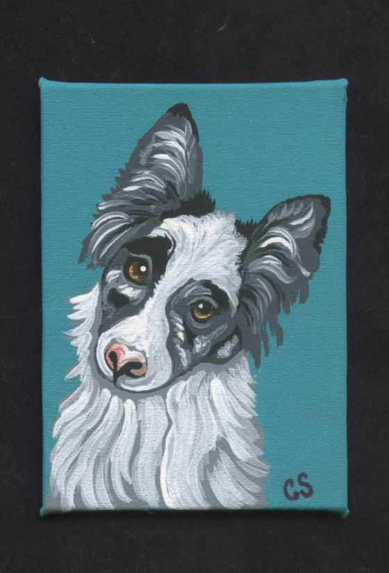 ACEO ATC Original Painting Blue Merle Border Collie Pet Dog Art-Carla Smale