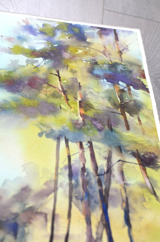 Pine forest in sunshine, watercolor pine trees