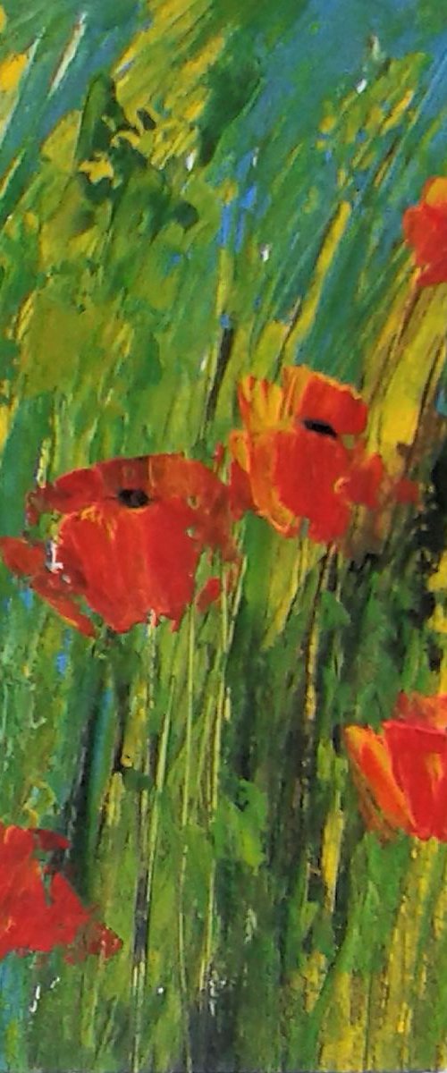 Poppy Field 3 by Jan Rippingham