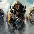 Bison