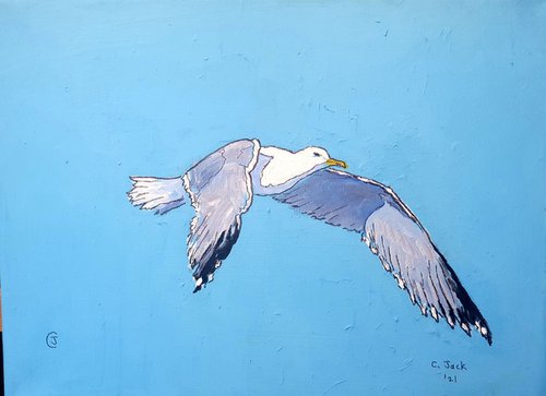 Seagull #12 by Colin Ross Jack