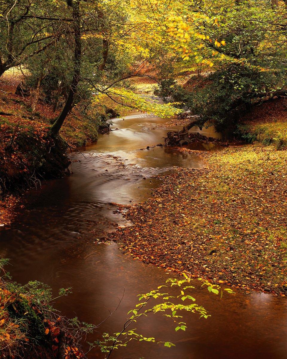 Autumn - Highland water by Baxter Bradford