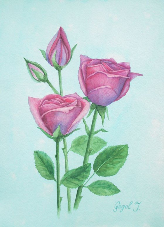 Pink roses