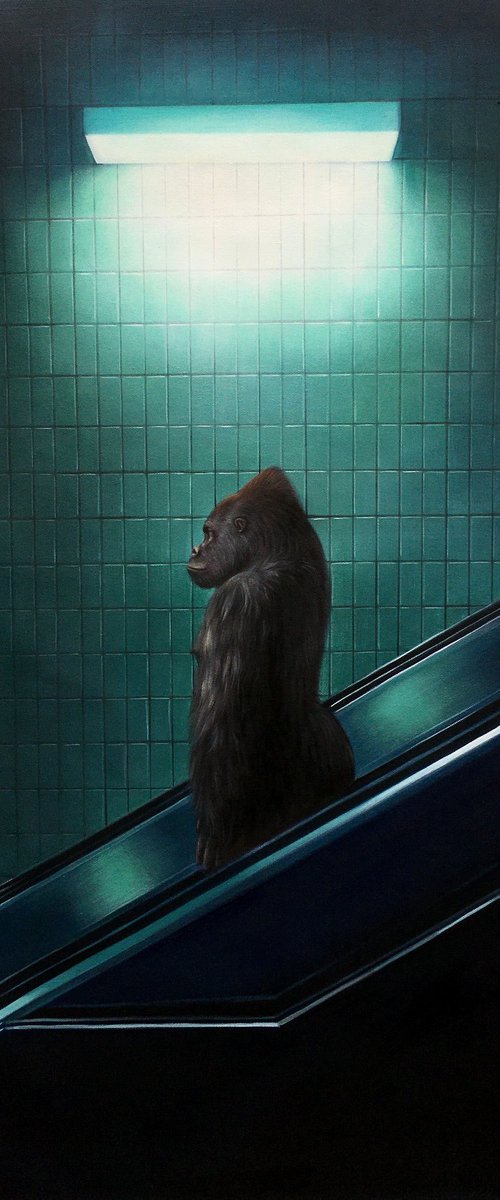 The Escalator by Mr Strange