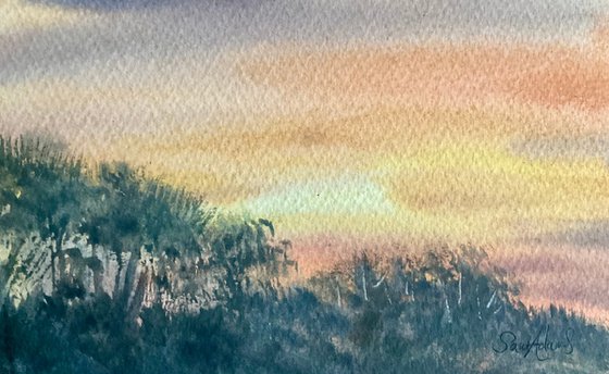 Studland heath sunset, Dorset