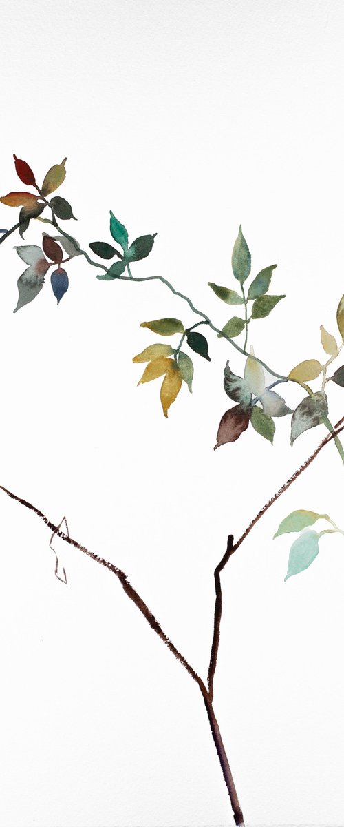 The Woods No. 105 by Elizabeth Becker
